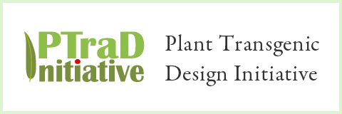 Plant Transgenic
Design Initiative｜T-PIRC