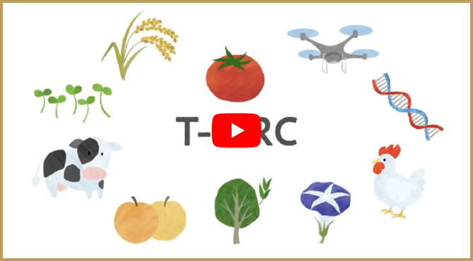 Tsukuba-Plant Innovation Research Center（T-PIRC） PR movie｜T-PIRC