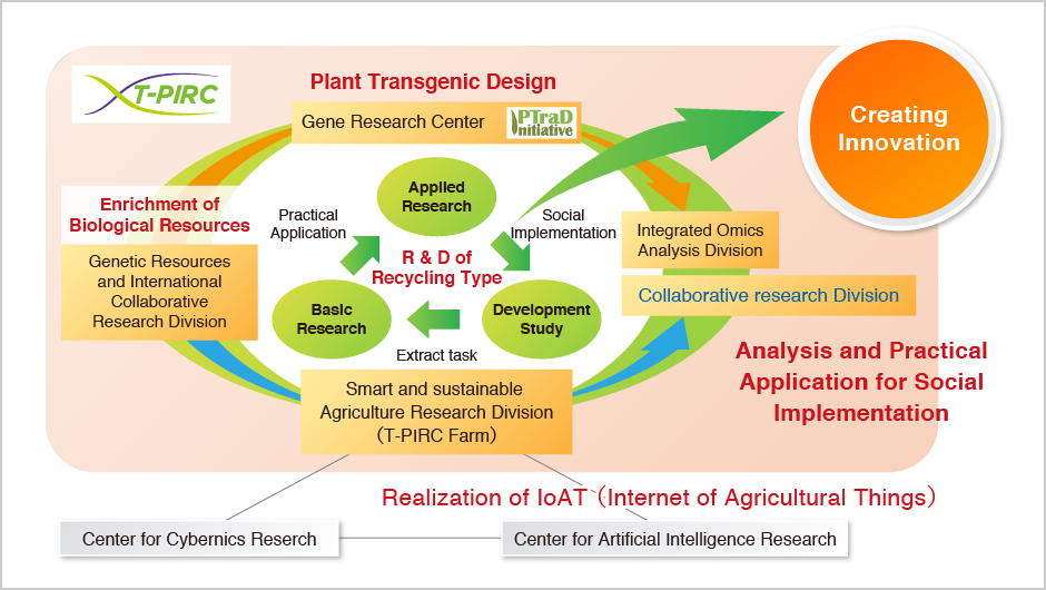 Collaborative Research Division｜T-PIRC