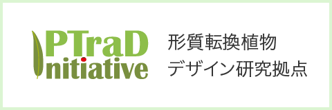 形質転換植物デザイン研究拠点｜筑波大学つくば機能植物イノベーション研究センター（T-PIRC）