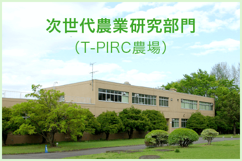 次世代農業研究部門（T-PIRC農場）｜筑波大学つくば機能植物イノベーション研究センター（T-PIRC）