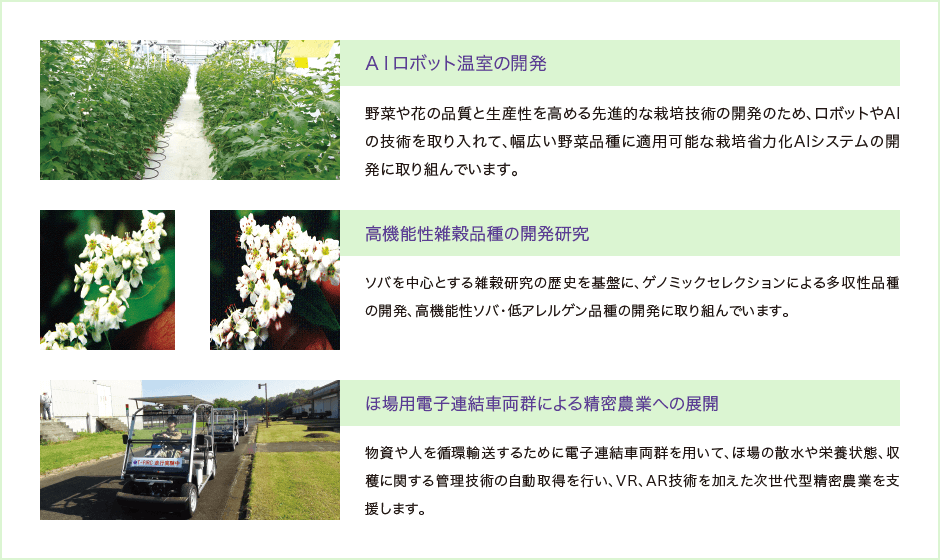 次世代農業研究部門（T-PIRC農場）｜筑波大学つくば機能植物イノベーション研究センター（T-PIRC）