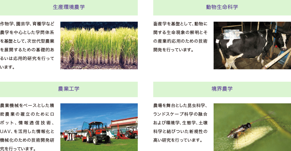 次世代農業研究部門（T-PIRC農場）｜筑波大学つくば機能植物イノベーション研究センター（T-PIRC）