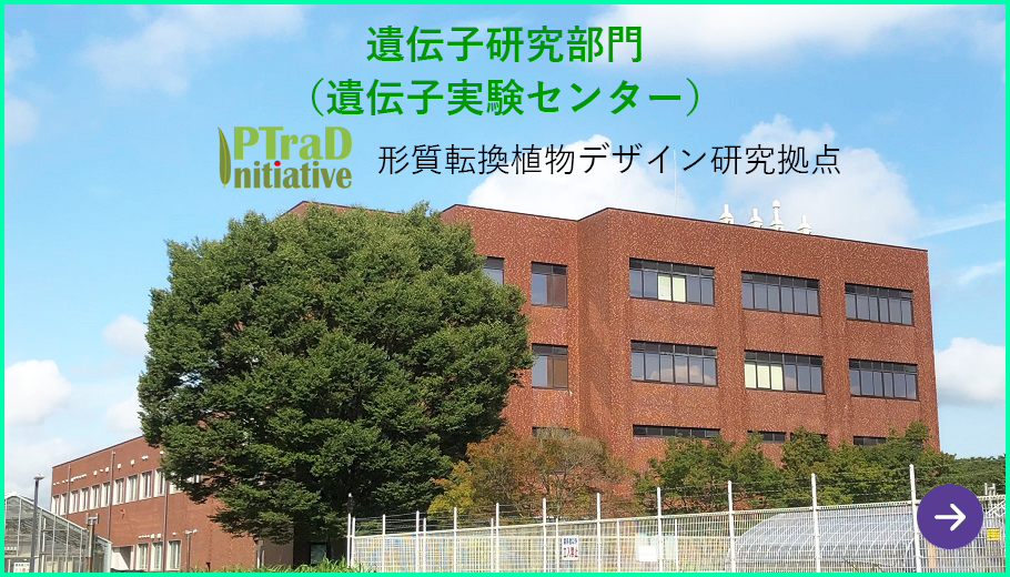 部門・ユニットの紹介｜筑波大学つくば機能植物イノベーション研究センター（T-PIRC）