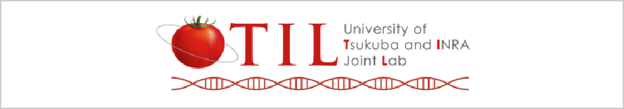 日仏国際ジョイントラボ（TIL）｜筑波大学つくば機能植物イノベーション研究センター（T-PIRC）