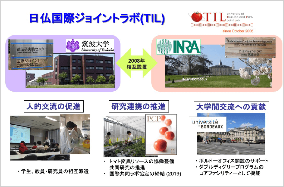 日仏国際ジョイントラボ（TIL）｜筑波大学つくば機能植物イノベーション研究センター（T-PIRC）